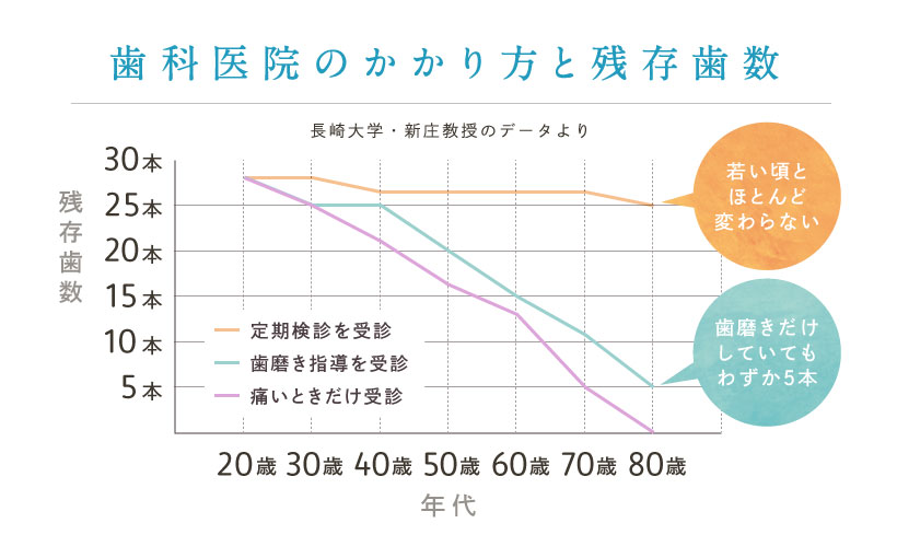 歯科医院のかかり方と残存歯数